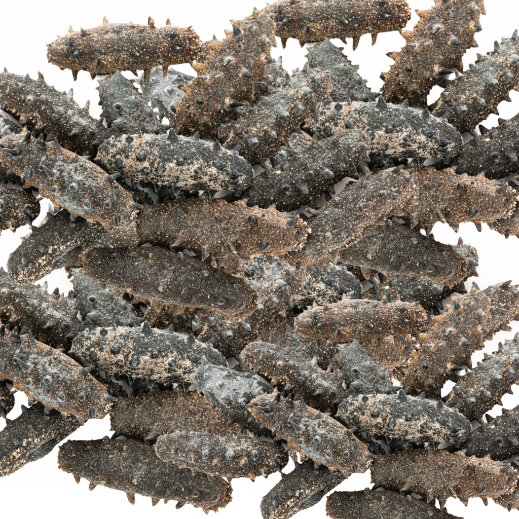 dried sea cucumber